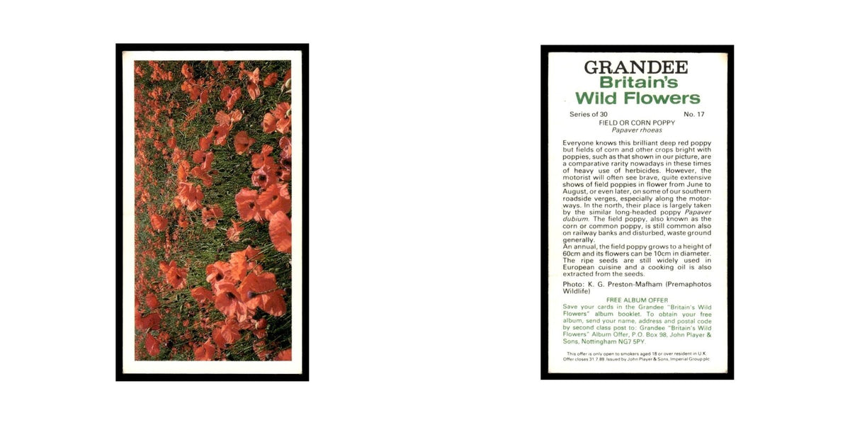 1986 Grandee Britain's Wild Flowers Field Cor Poppy #17
