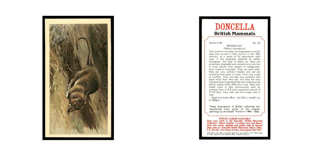 1983 Doncella Cigars British Mammals Brown Rat #23