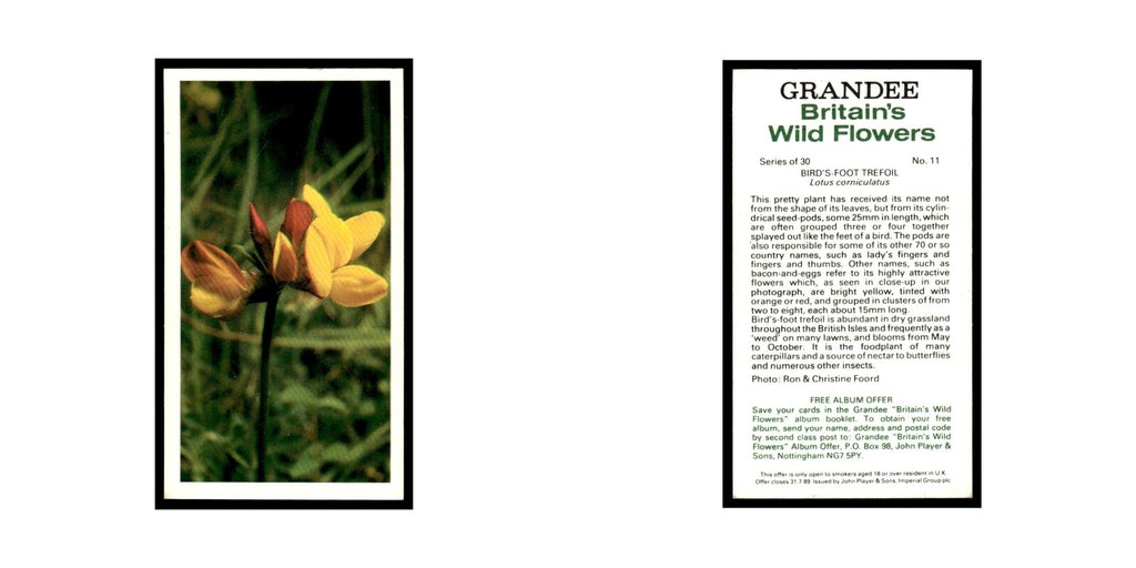 1986 Grandee Britain's Wild Flowers Bird's Foot Trefoil #11