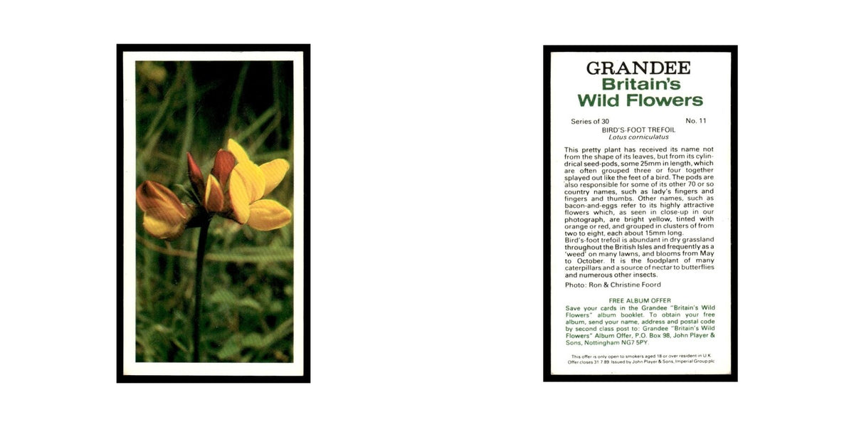 1986 Grandee Britain's Wild Flowers Bird's Foot Trefoil #11