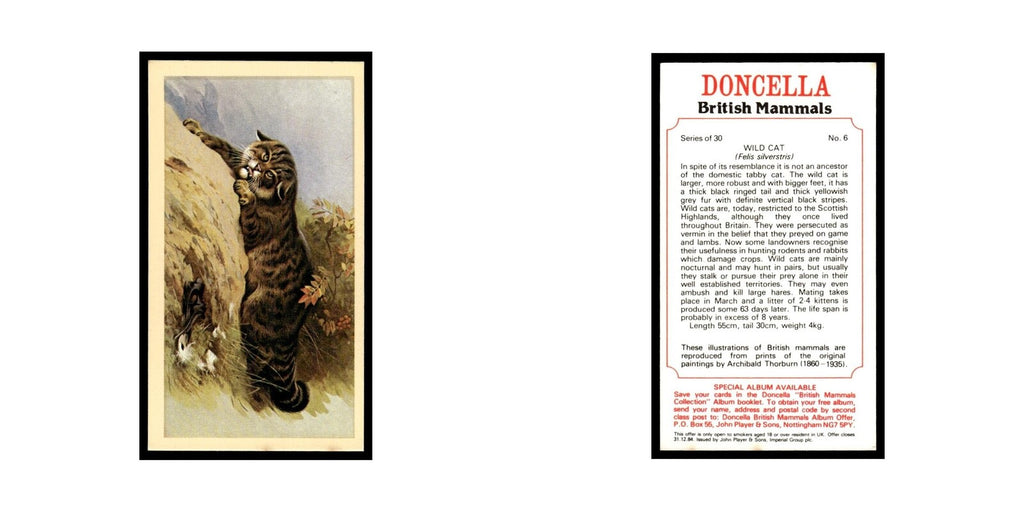 1983 Doncella Cigars British Mammals Wild Cat #6