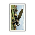 1977 Doncella Cigars Golden Age of Flying Westland Lysander #19
