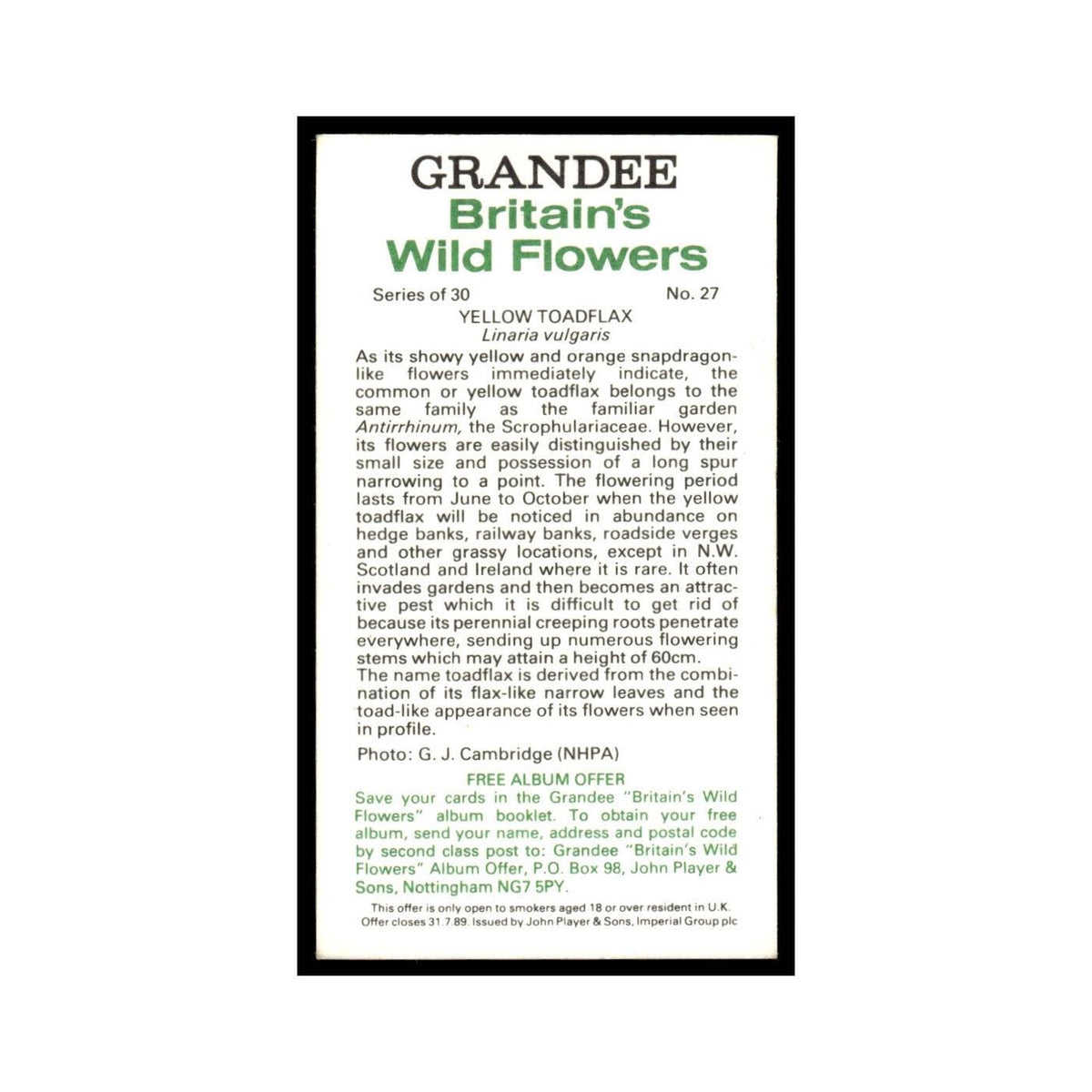 1986 Grandee Britain's Wild Flowers Yellow Toadflax #27