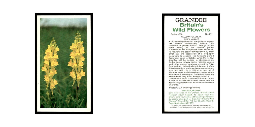 1986 Grandee Britain's Wild Flowers Yellow Toadflax #27