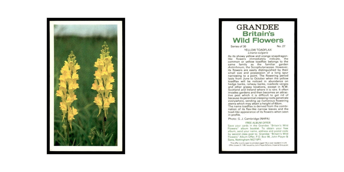1986 Grandee Britain's Wild Flowers Yellow Toadflax #27