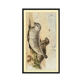 1983 Doncella Cigars British Mammals Common Seal #9