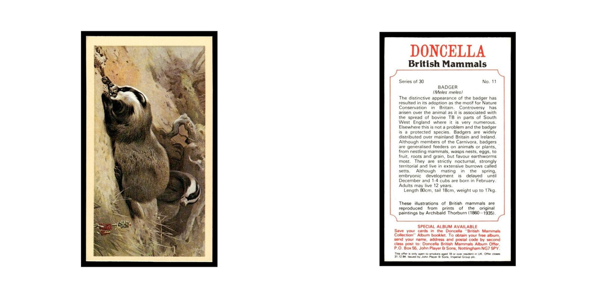 1983 Doncella Cigars British Mammals Badger #11
