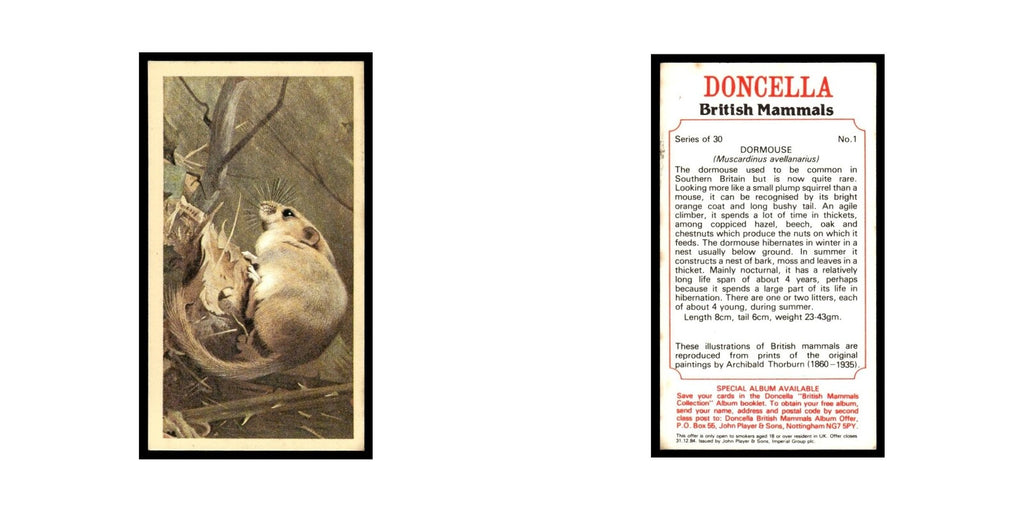 1983 Doncella Cigars British Mammals Dormouse #1