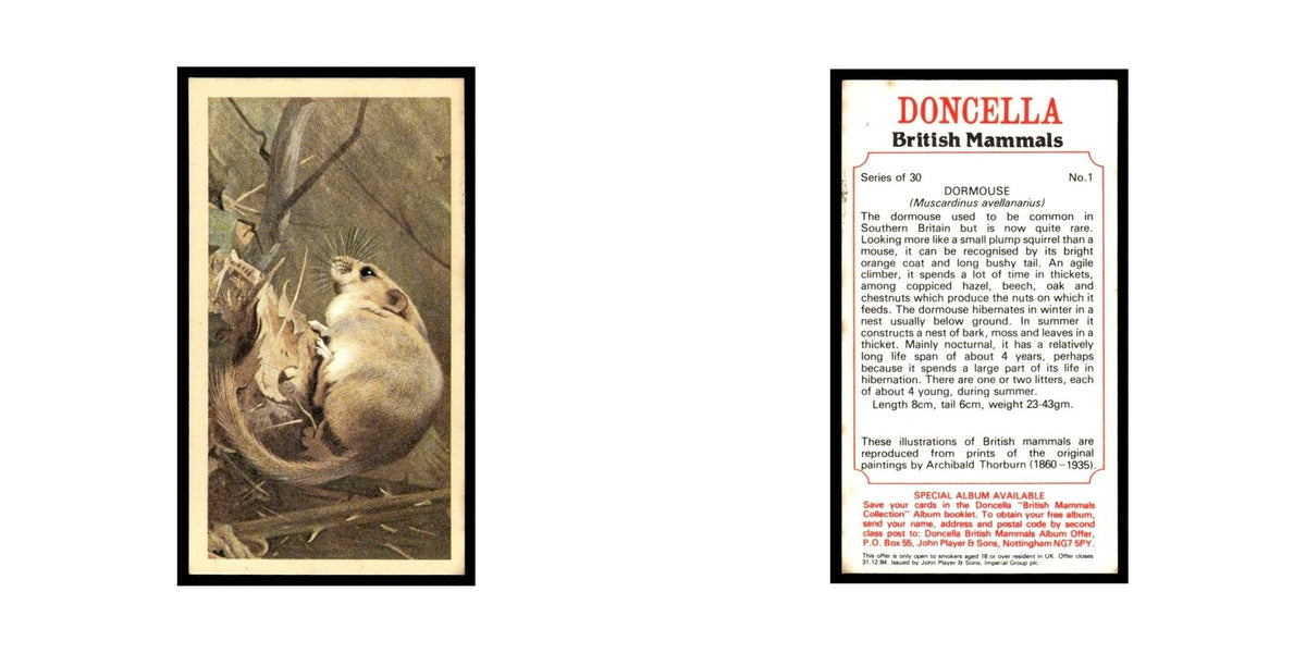 1983 Doncella Cigars British Mammals Dormouse #1