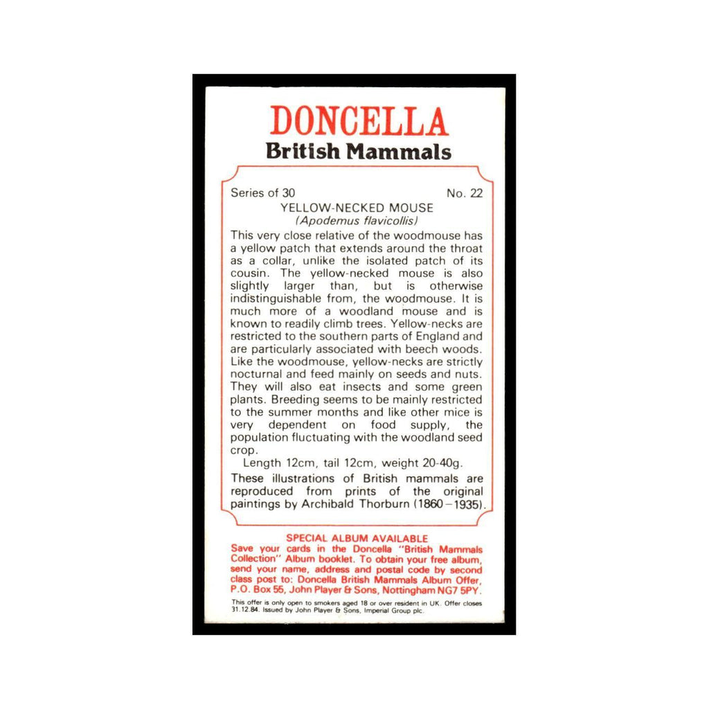 1983 Doncella Cigars British Mammals Yellow Necked Mouse #22
