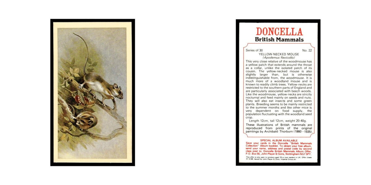 1983 Doncella Cigars British Mammals Yellow Necked Mouse #22