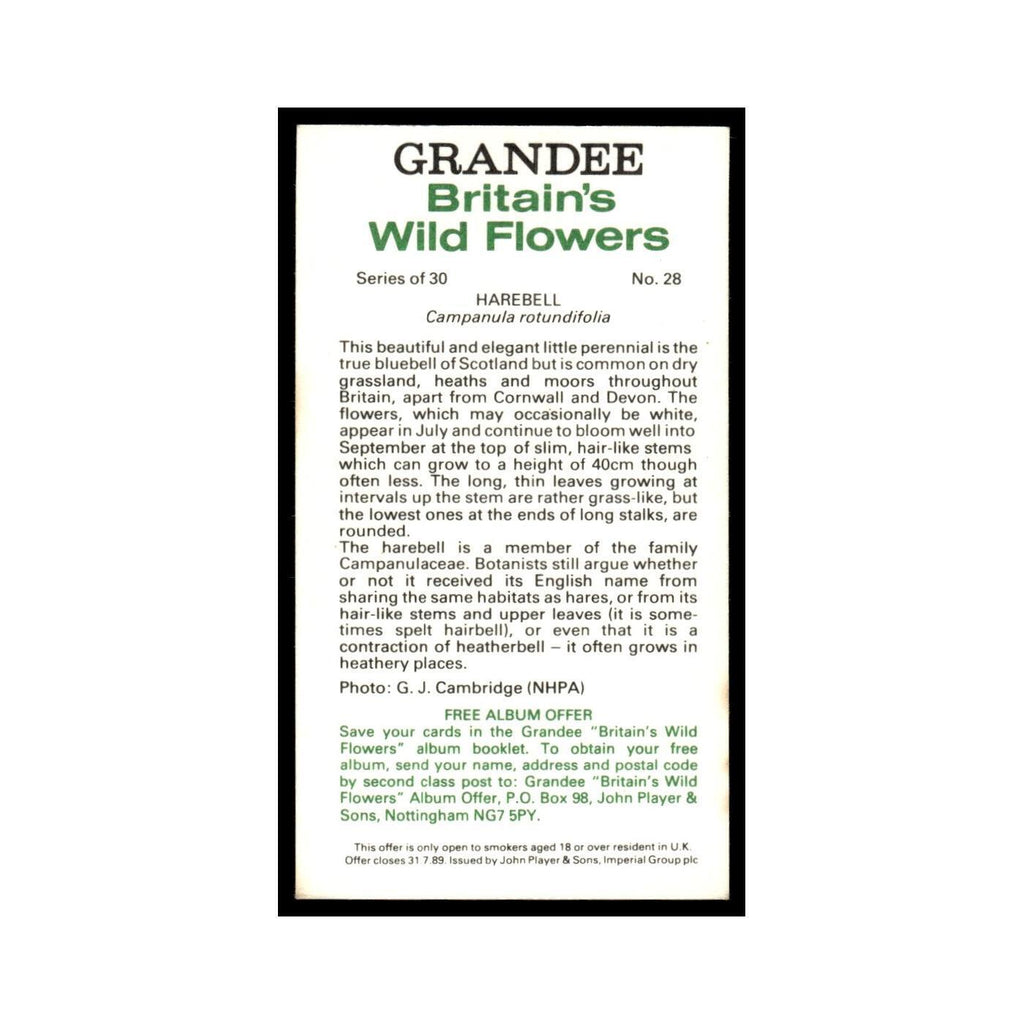 1986 Grandee Britain's Wild Flowers Harebell #28