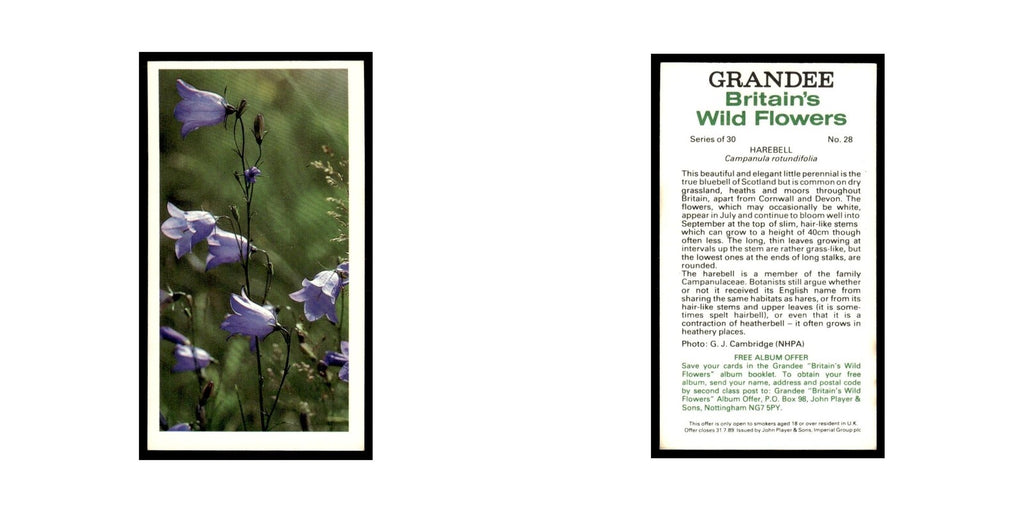 1986 Grandee Britain's Wild Flowers Harebell #28