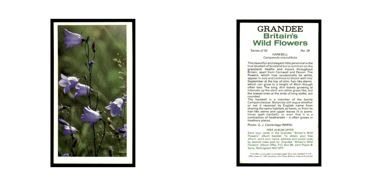 1986 Grandee Britain's Wild Flowers Harebell #28