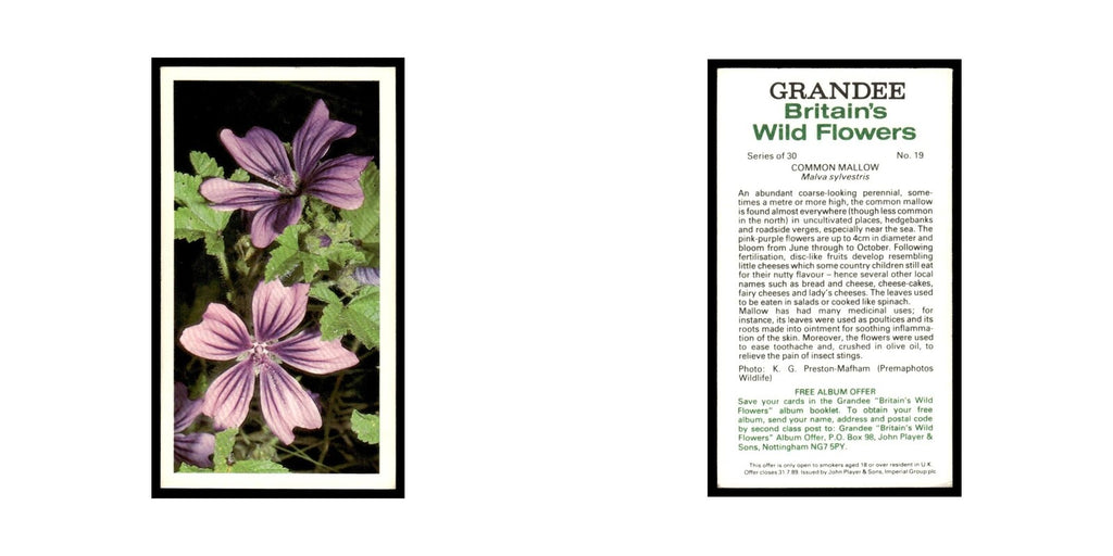 1986 Grandee Britain's Wild Flowers Common Mallow #19