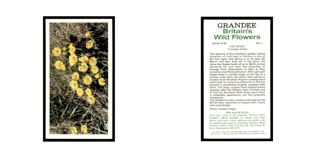 1986 Grandee Britain's Wild Flowers Coltsfoot #1