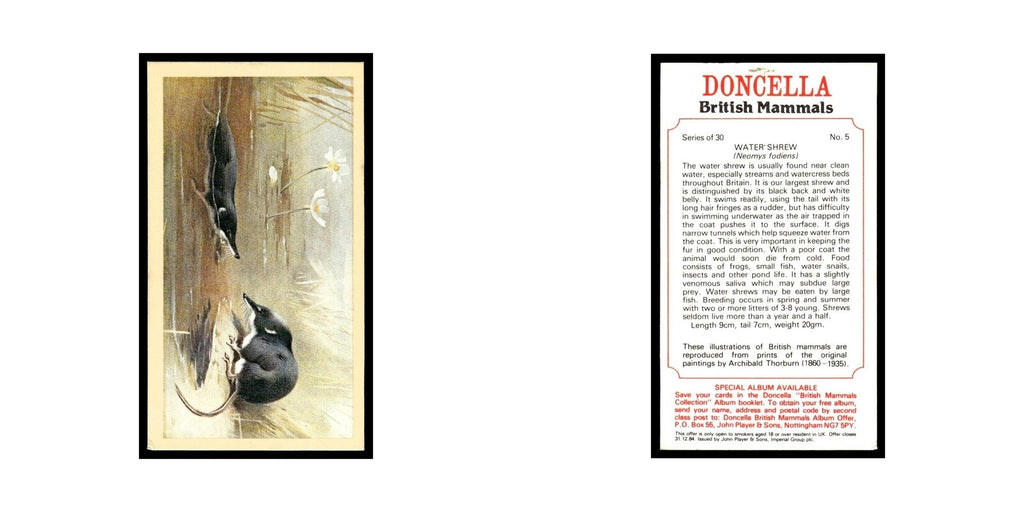1983 Doncella Cigars British Mammals Water Shrew #5