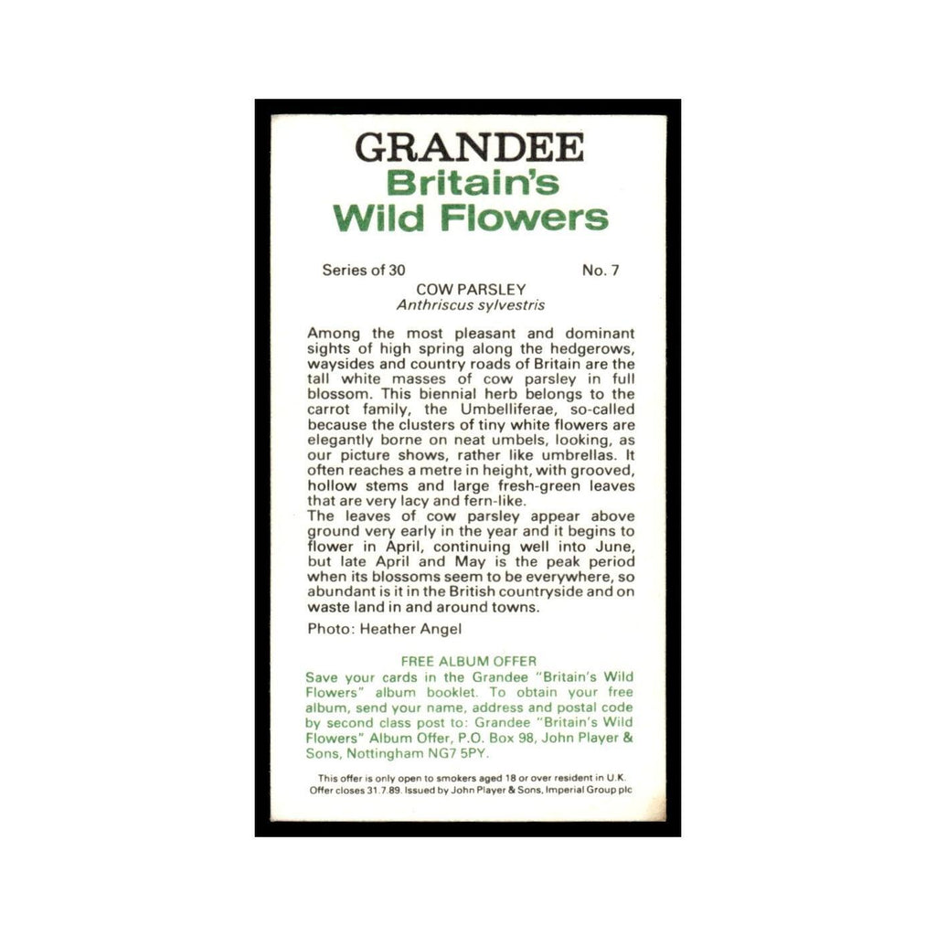 1986 Grandee Britain's Wild Flowers Cow Parsley #7