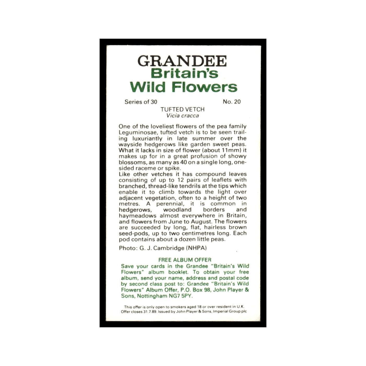 1986 Grandee Britain's Wild Flowers Tufted Vetch #20