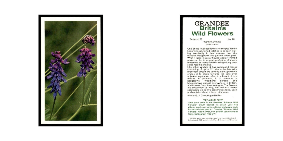 1986 Grandee Britain's Wild Flowers Tufted Vetch #20