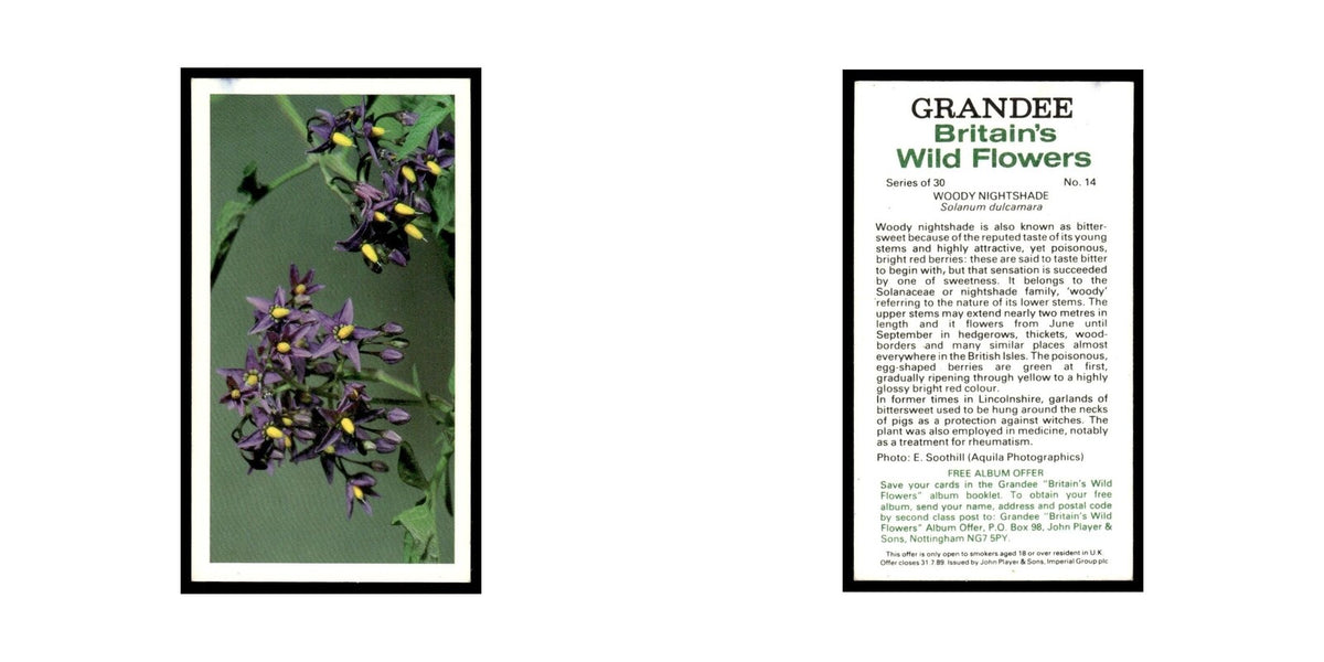 1986 Grandee Britain's Wild Flowers Woody Nightshade #14