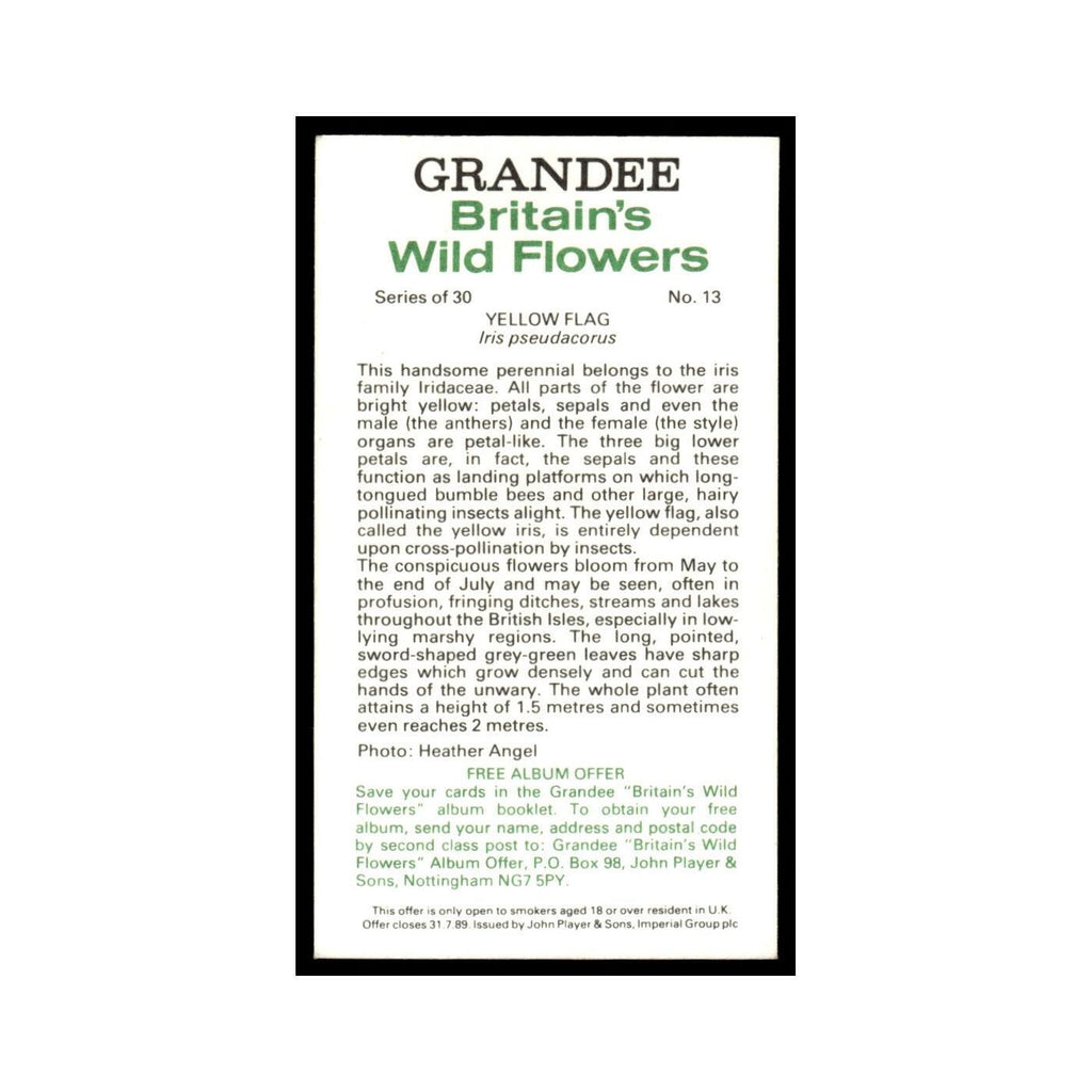 1986 Grandee Britain's Wild Flowers Yellow Flag #13