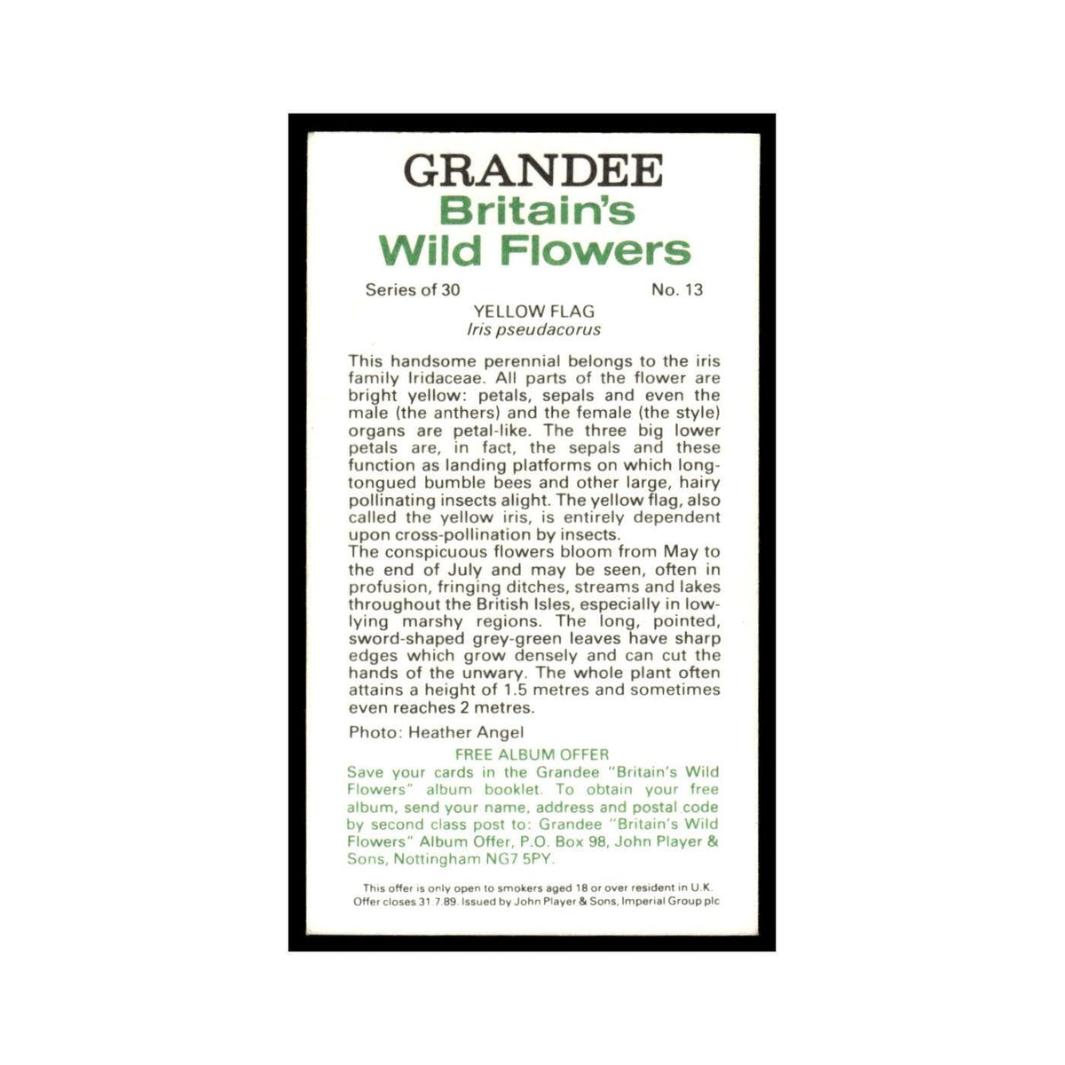 1986 Grandee Britain's Wild Flowers Yellow Flag #13
