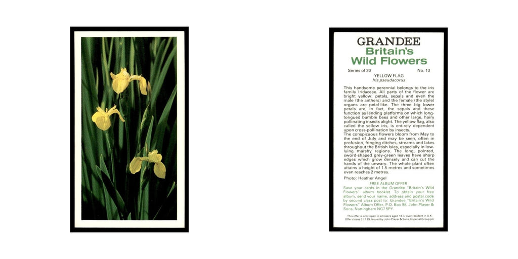1986 Grandee Britain's Wild Flowers Yellow Flag #13