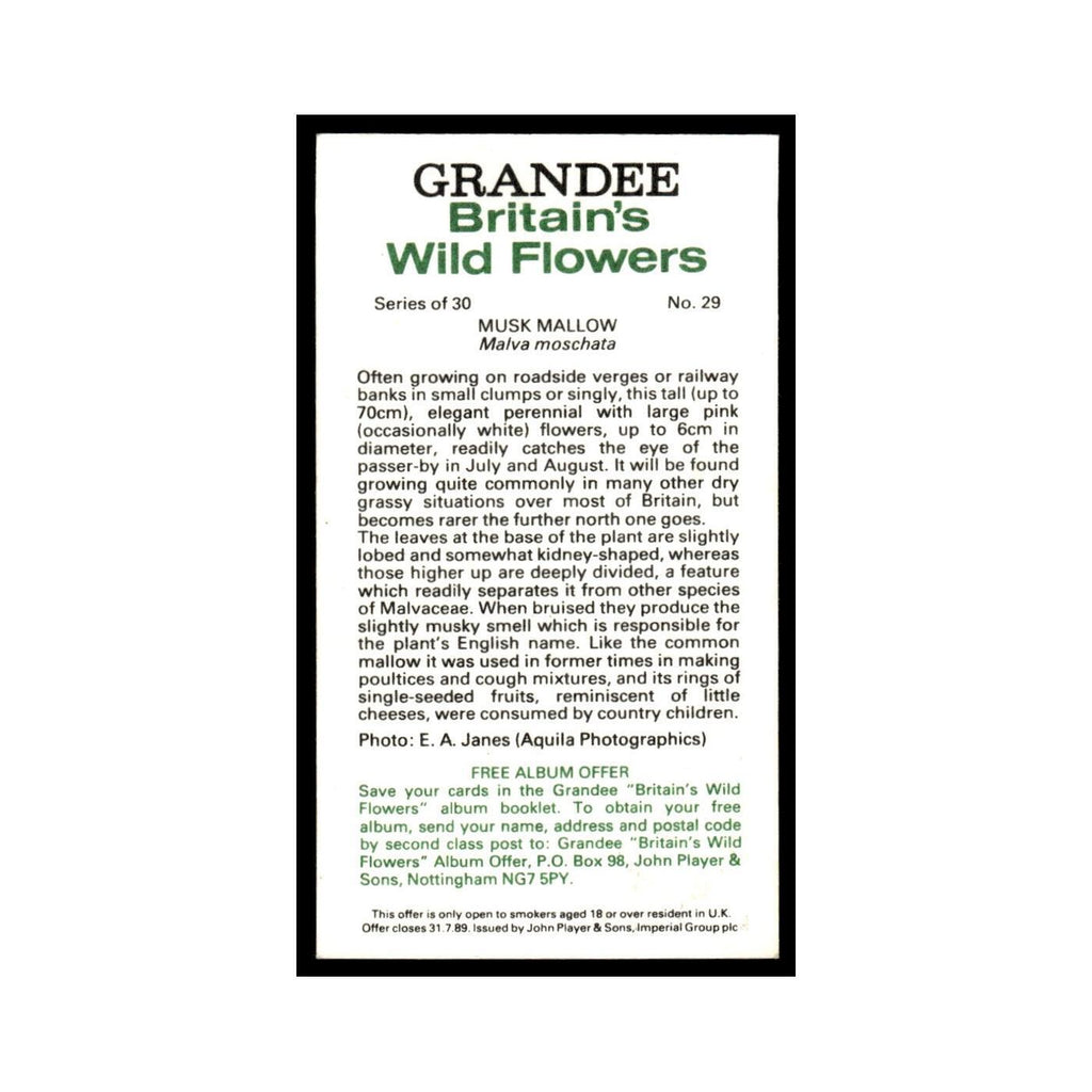 1986 Grandee Britain's Wild Flowers Musk Mallow #29