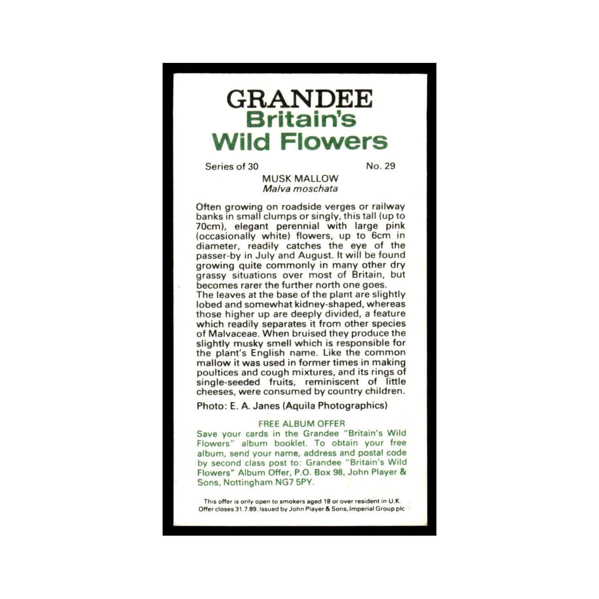 1986 Grandee Britain's Wild Flowers Musk Mallow #29