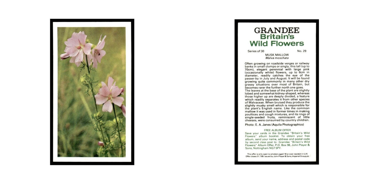 1986 Grandee Britain's Wild Flowers Musk Mallow #29