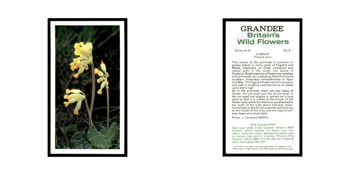 1986 Grandee Britain's Wild Flowers Cowslip #6