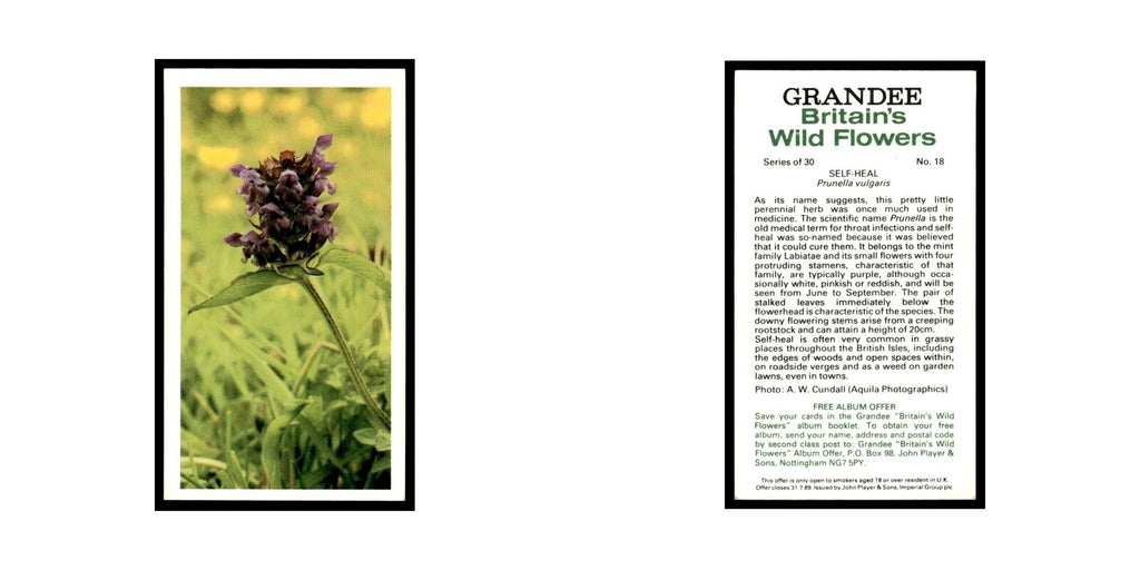 1986 Grandee Britain's Wild Flowers Self-Heal #18