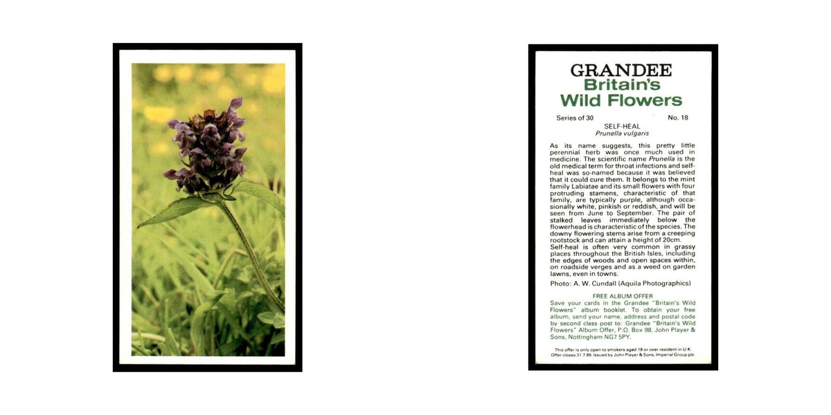 1986 Grandee Britain's Wild Flowers Self-Heal #18