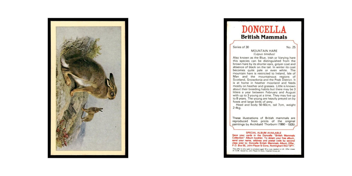 1983 Doncella Cigars British Mammals Mountain Hare #25