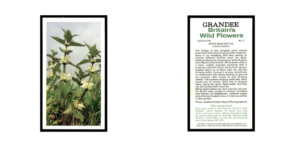 1986 Grandee Britain's Wild Flowers White Dead Nettle #3