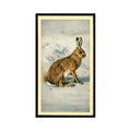 1983 Doncella Cigars British Mammals Brown Hare #24