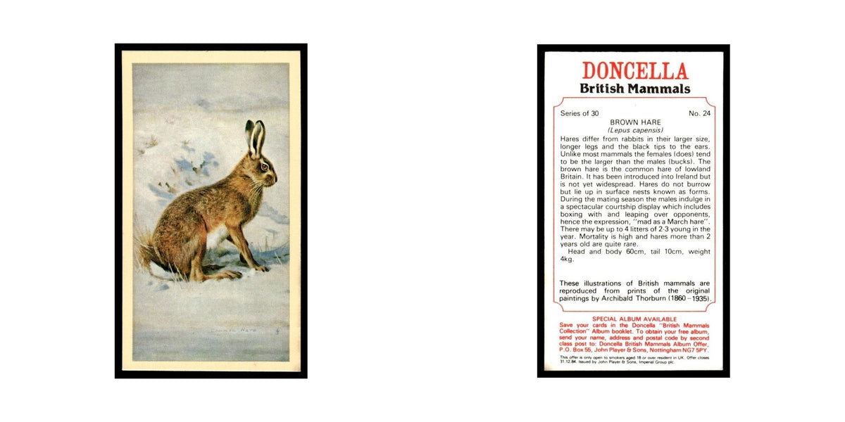 1983 Doncella Cigars British Mammals Brown Hare #24
