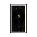 1987 Grandee Britain's Nocturnal Wildlife Garden Spider #27