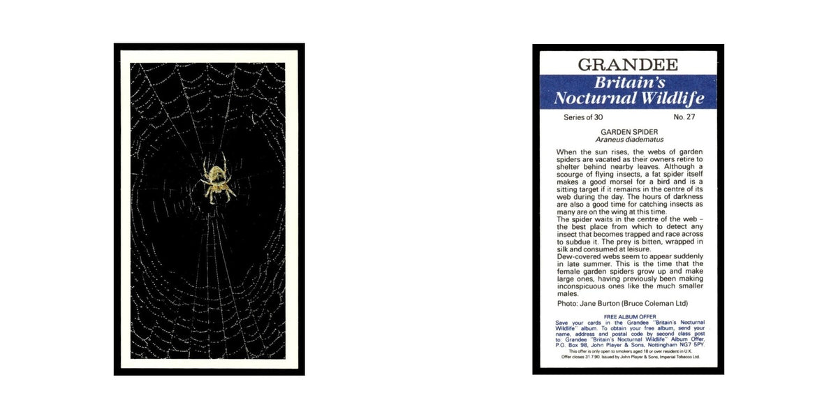 1987 Grandee Britain's Nocturnal Wildlife Garden Spider #27