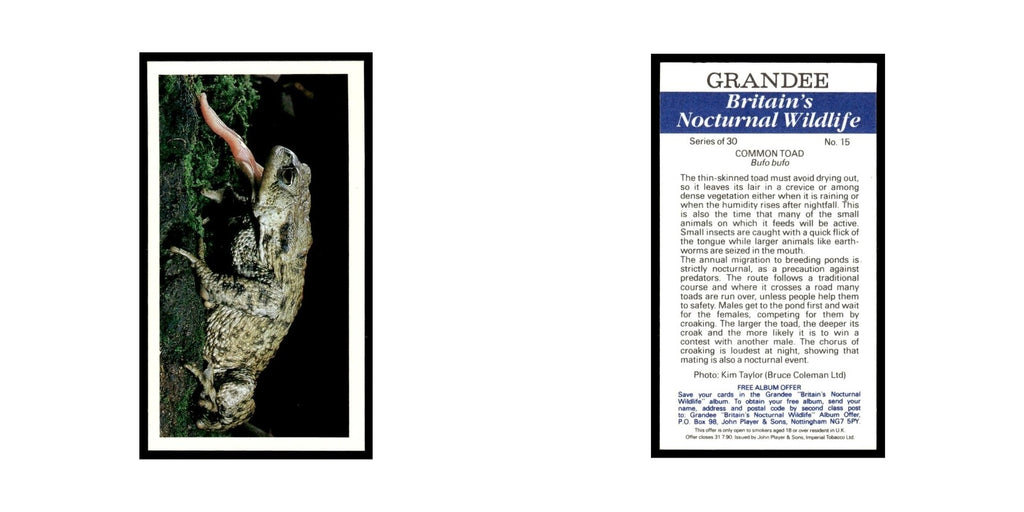 1987 Grandee Britain's Nocturnal Wildlife Common Toad #15