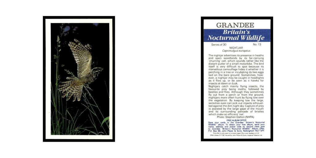1987 Grandee Britain's Nocturnal Wildlife Nightjar #13