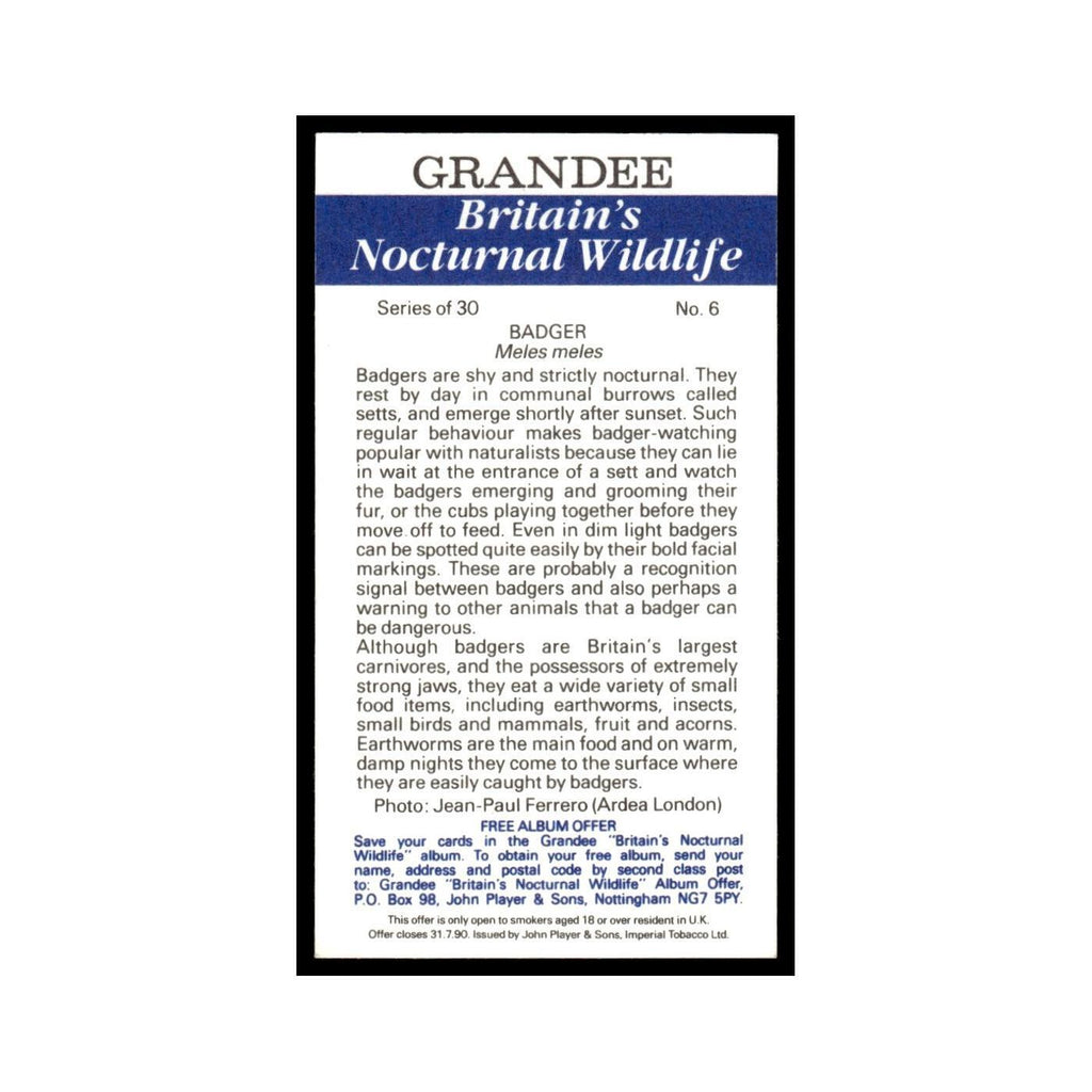 1987 Grandee Britain's Nocturnal Wildlife Badger #6