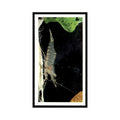 1987 Grandee Britain's Nocturnal Wildlife Common Prawn #29