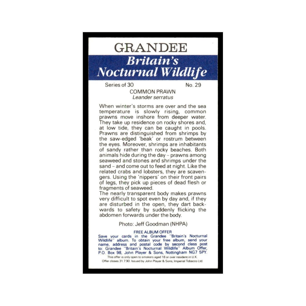 1987 Grandee Britain's Nocturnal Wildlife Common Prawn #29