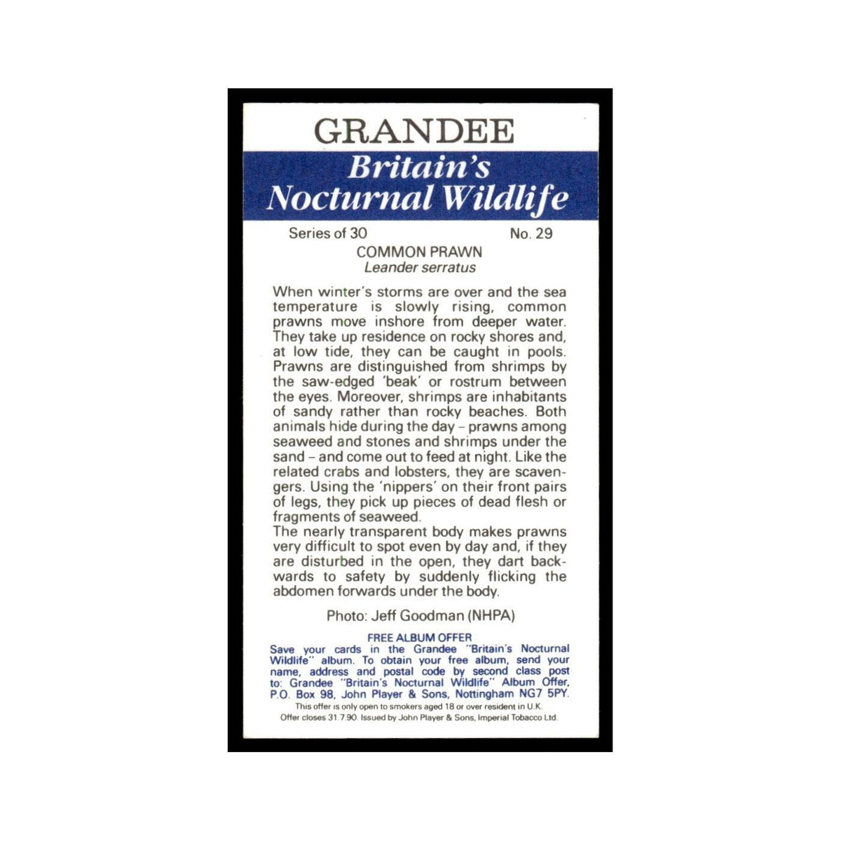 1987 Grandee Britain's Nocturnal Wildlife Common Prawn #29