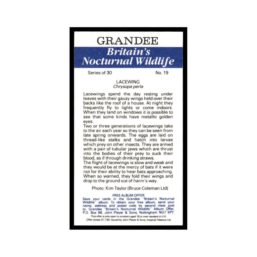 1987 Grandee Britain's Nocturnal Wildlife Lacewing #19