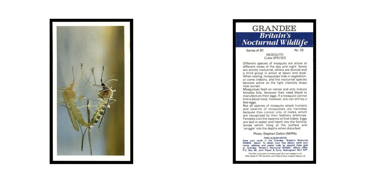 1987 Grandee Britain's Nocturnal Wildlife Mosquito #25