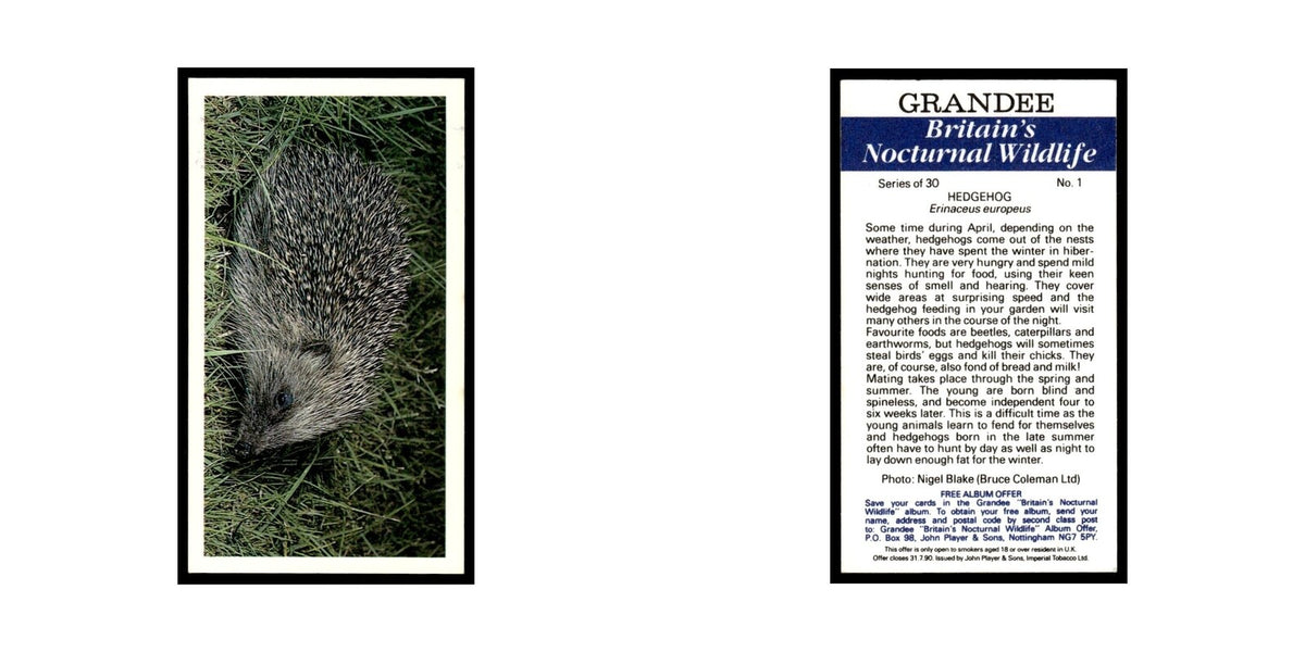 1987 Grandee Britain's Nocturnal Wildlife Hedgehog #1