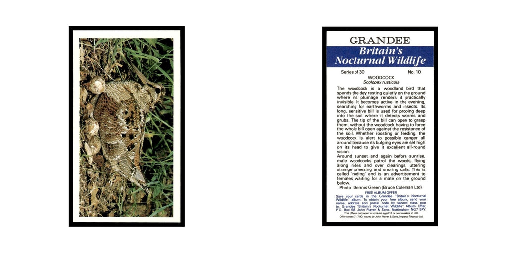 1987 Grandee Britain's Nocturnal Wildlife Woodcock #10